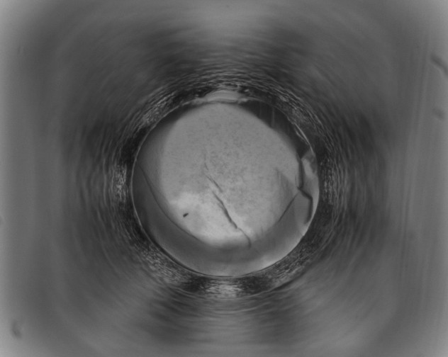 X0000097860610200804041530