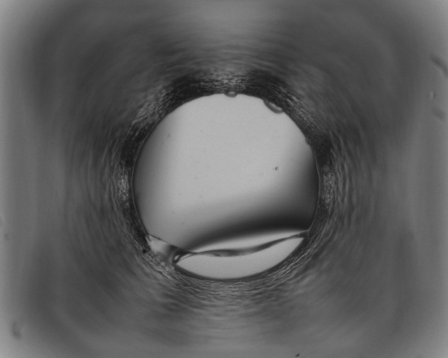 X0000097860613200804041530