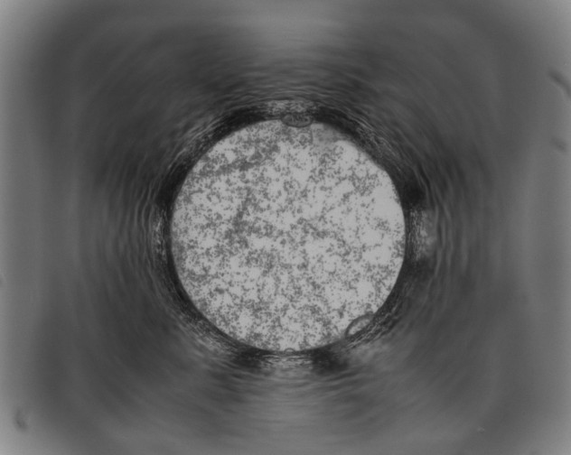 X0000097860619200804041530