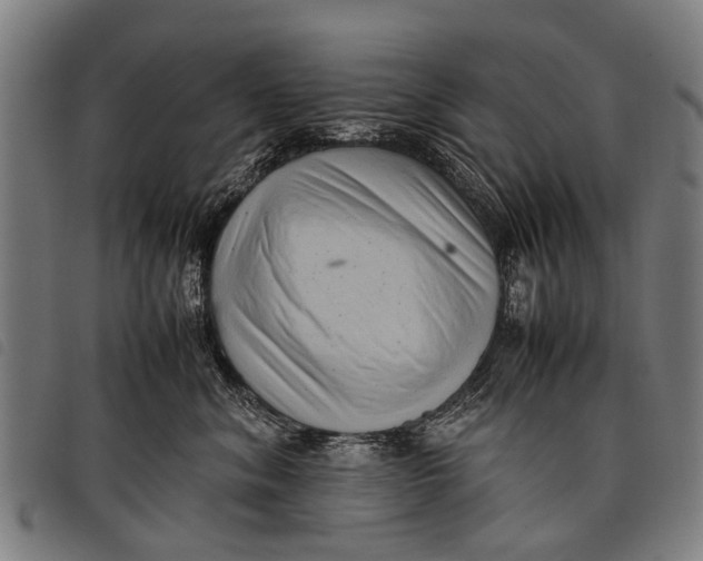 X0000097860620200804041530