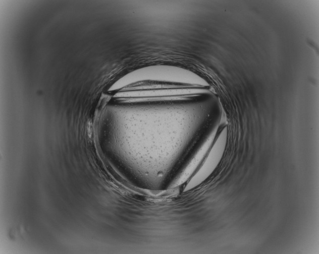 X0000097860621200804041530