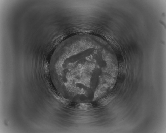 X0000097860623200804041530