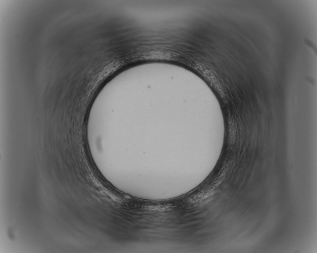 X0000097860625200804041529