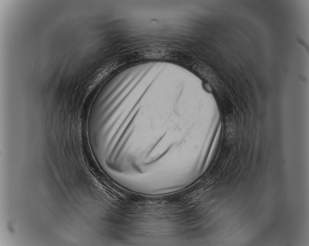 X0000097860626200804041529