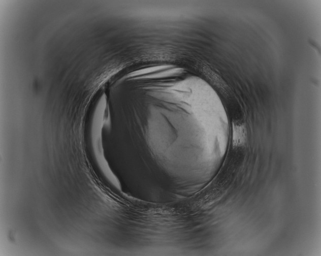 X0000097860627200804041529