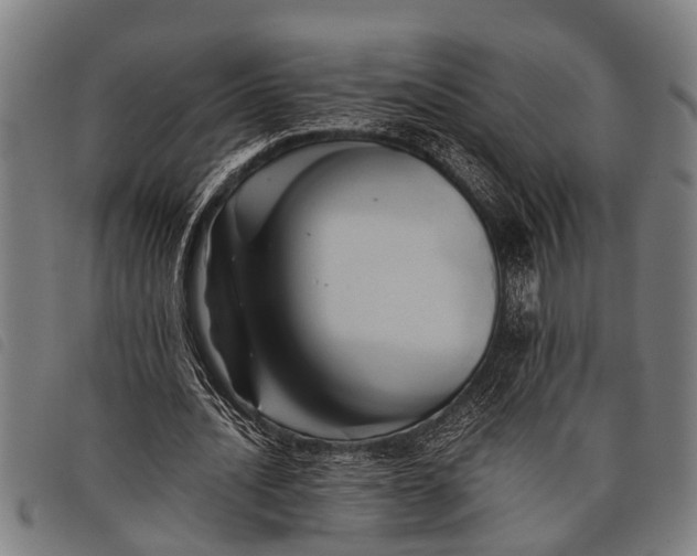 X0000097860628200804041529