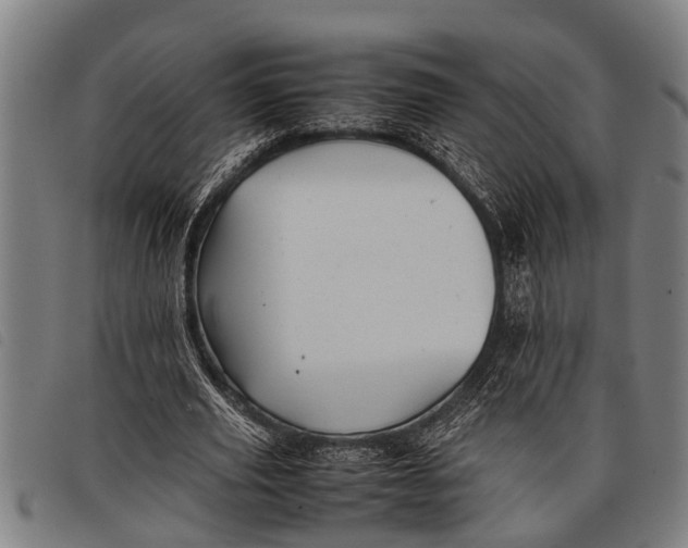 X0000097860629200804041529