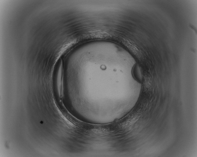 X0000097860630200804041529