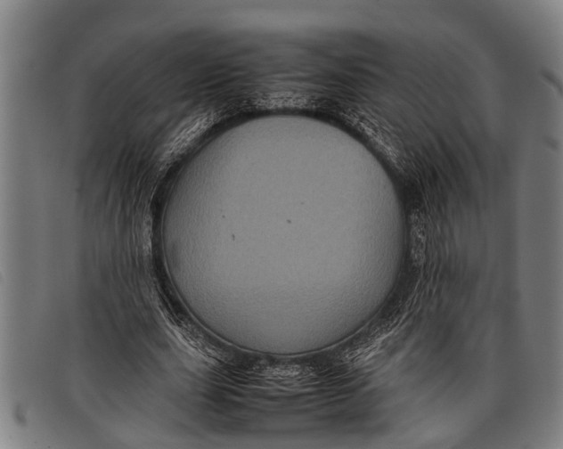 X0000097860631200804041529