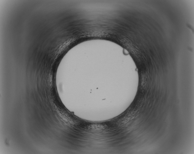 X0000097860636200804041529