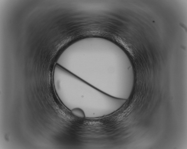 X0000097860637200804041529