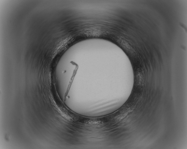 X0000097860638200804041529