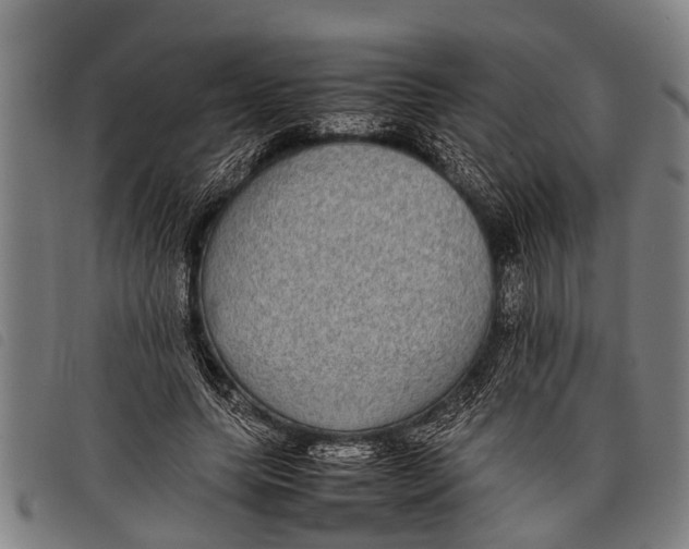 X0000097860639200804041529