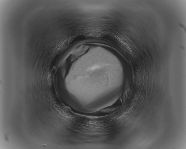 X0000097860641200804041529