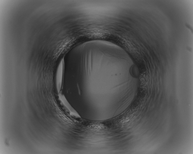 X0000097860642200804041529