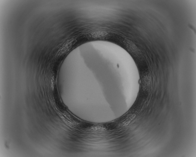 X0000097860644200804041529