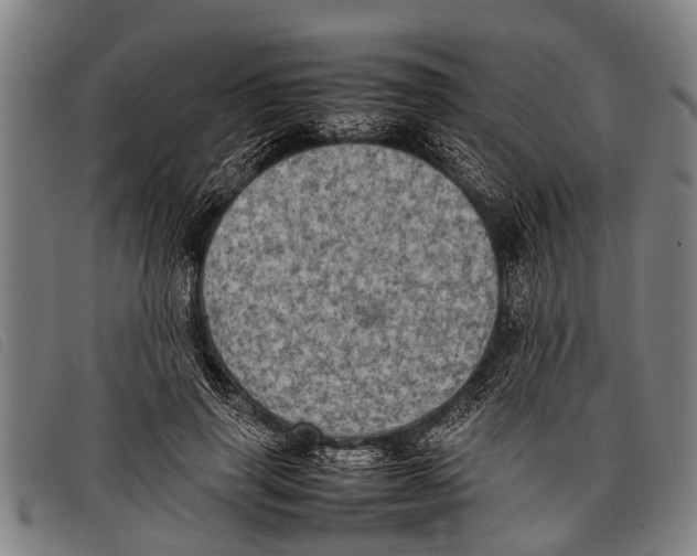 X0000097860645200804041529