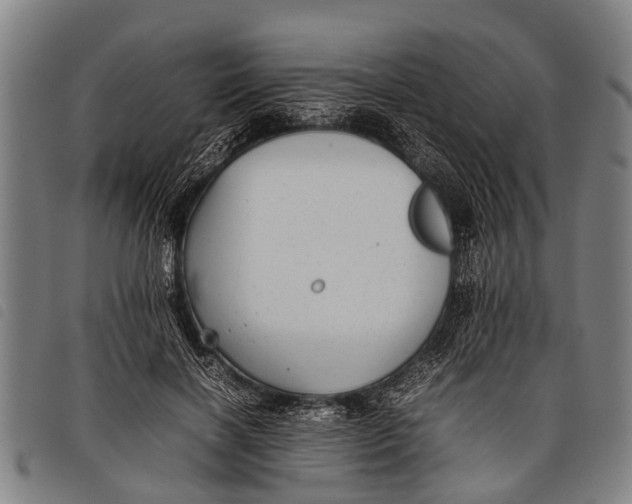 X0000097860646200804041529