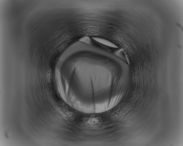 X0000097860647200804041529