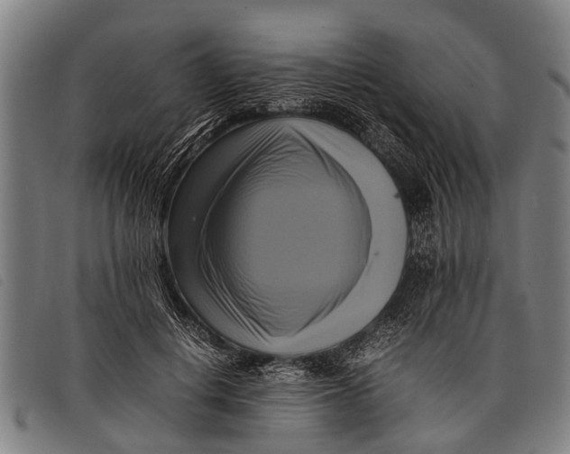 X0000097860648200804041529