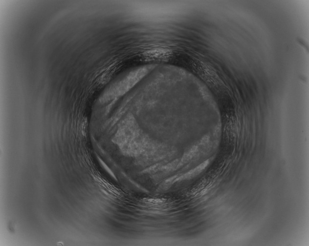 X0000097860649200804041529