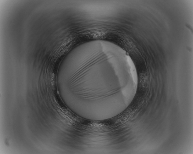 X0000097860650200804041529