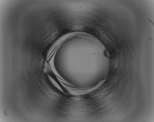 X0000097860652200804041529