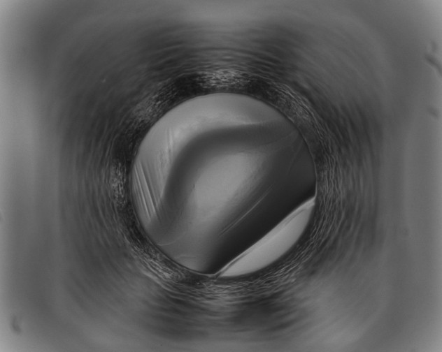 X0000097860653200804041529