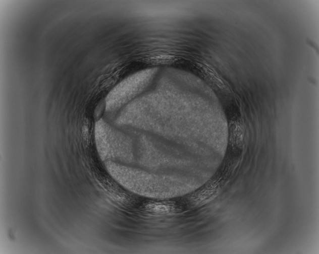 X0000097860655200804041529