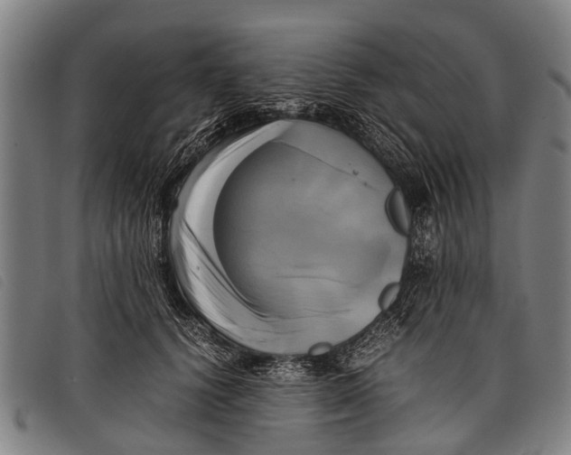 X0000097860656200804041529