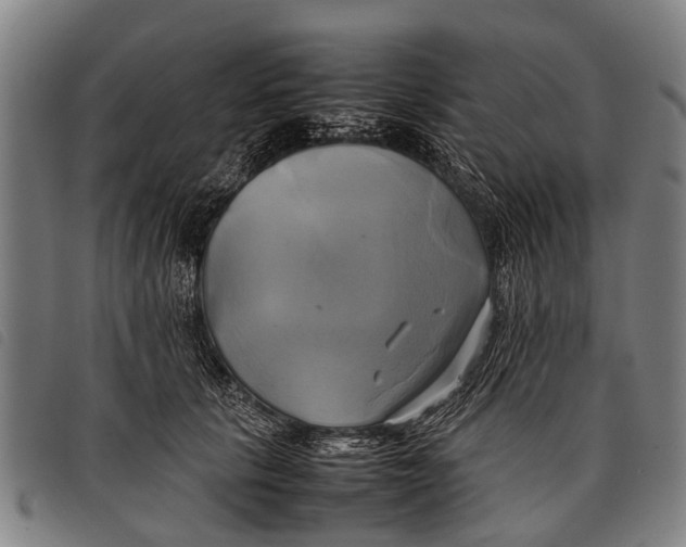 X0000097860657200804041529