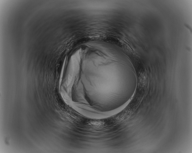 X0000097860659200804041529