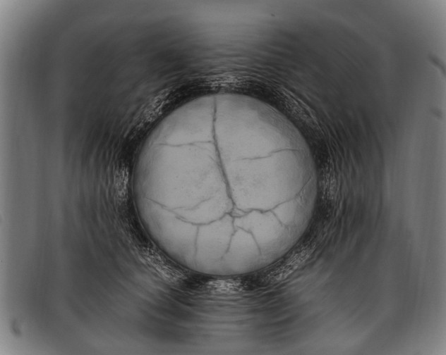 X0000097860660200804041529