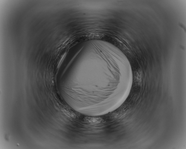 X0000097860663200804041530