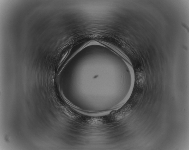 X0000097860664200804041530