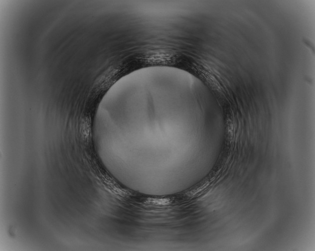 X0000097860665200804041530