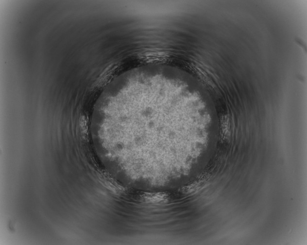 X0000097860667200804041530