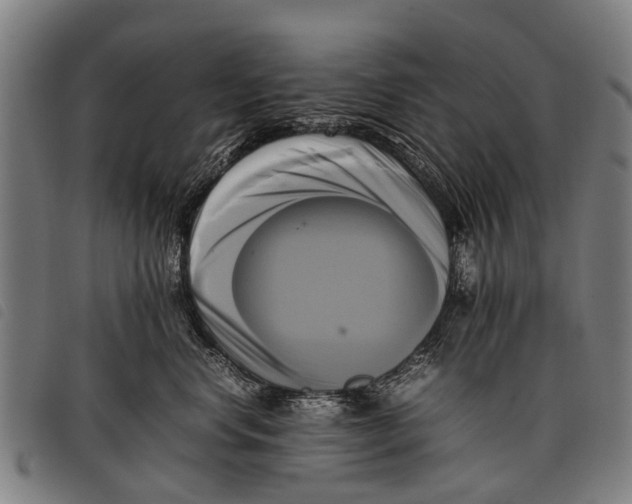 X0000097860668200804041530