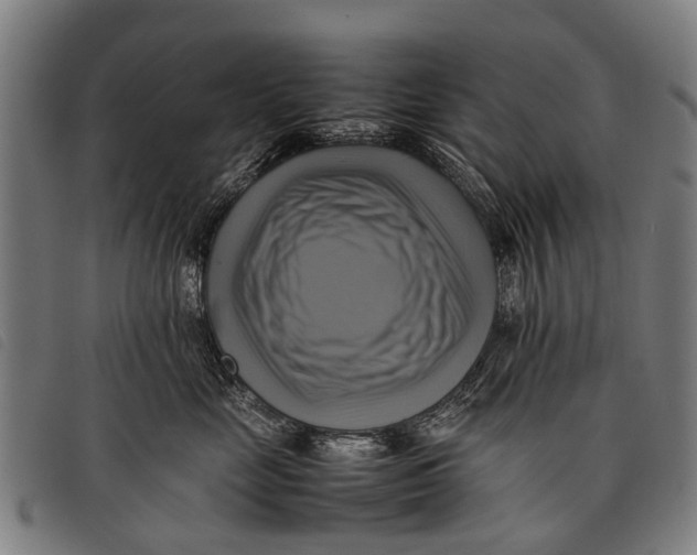 X0000097860669200804041530