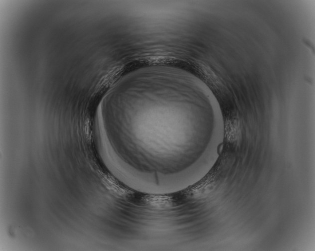 X0000097860670200804041530