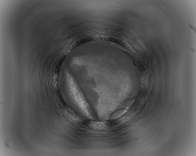 X0000097860671200804041530