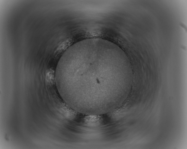 X0000097860672200804041530