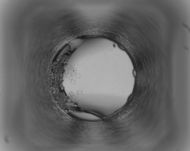 X0000097860673200804041529