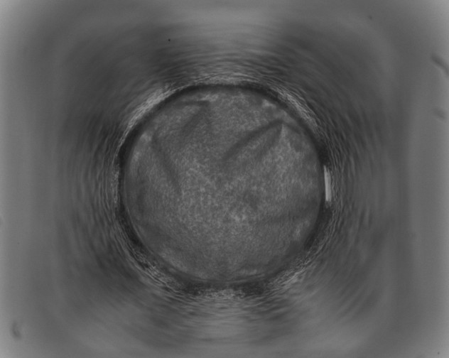 X0000097860675200804041529