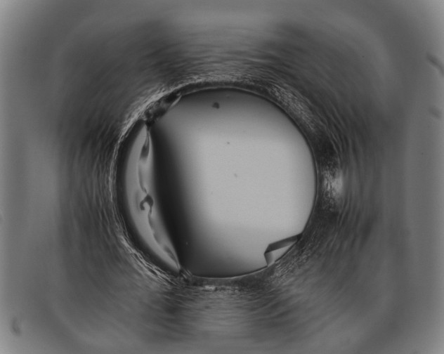 X0000097860676200804041529