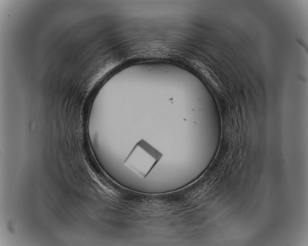 X0000097860677200804041529