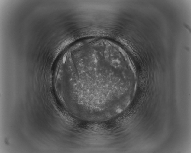 X0000097860679200804041529