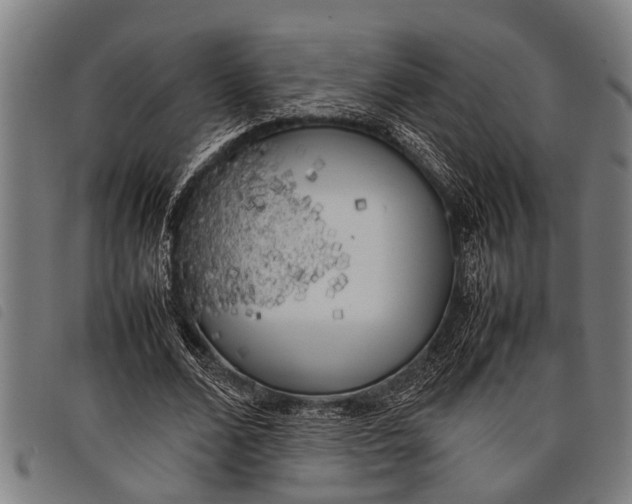 X0000097860680200804041529