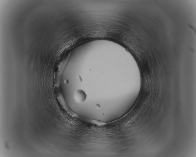 X0000097860681200804041529