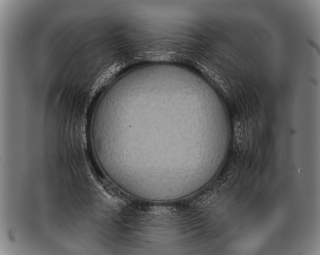 X0000097860682200804041529